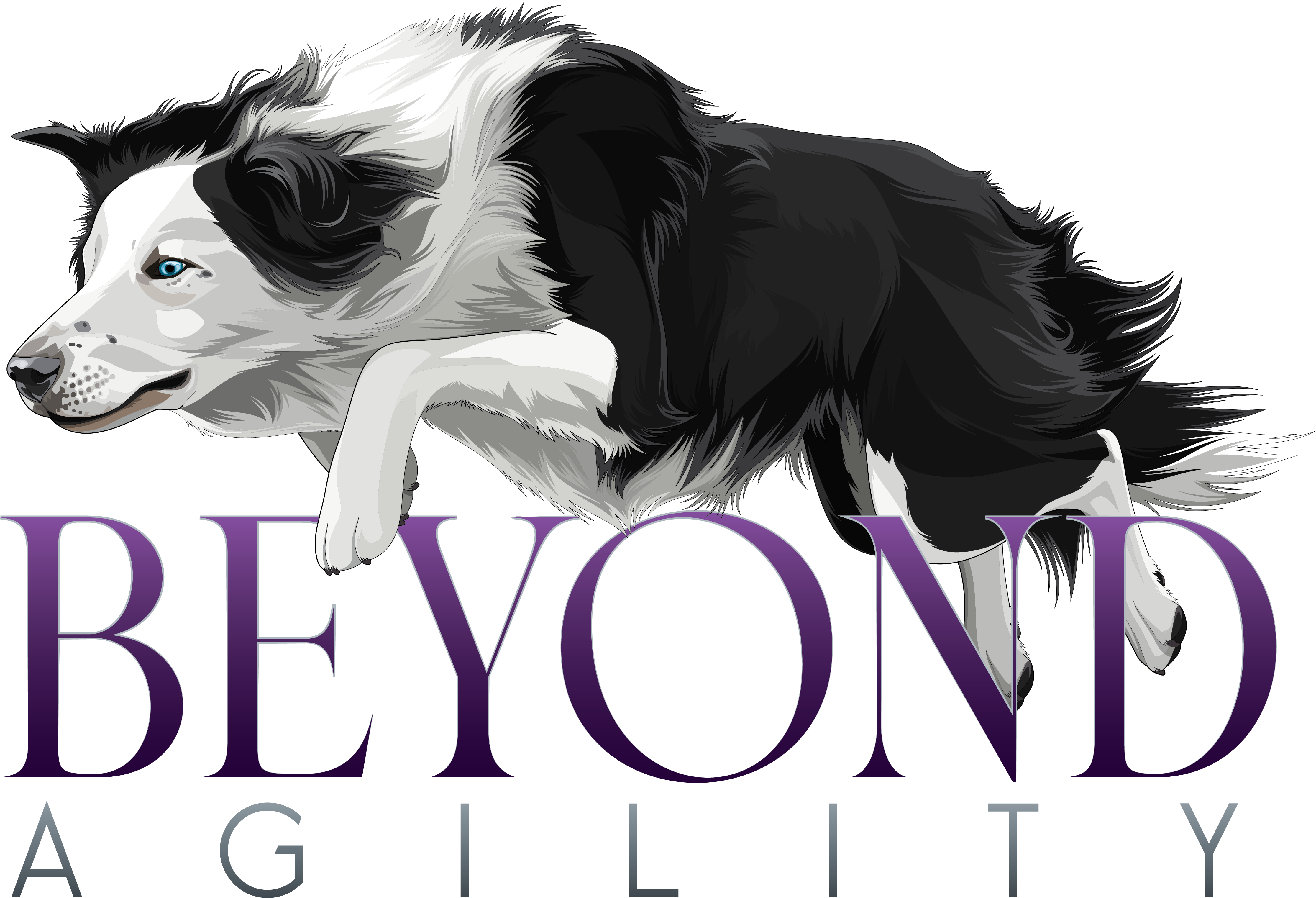 Beyond agility beginners course